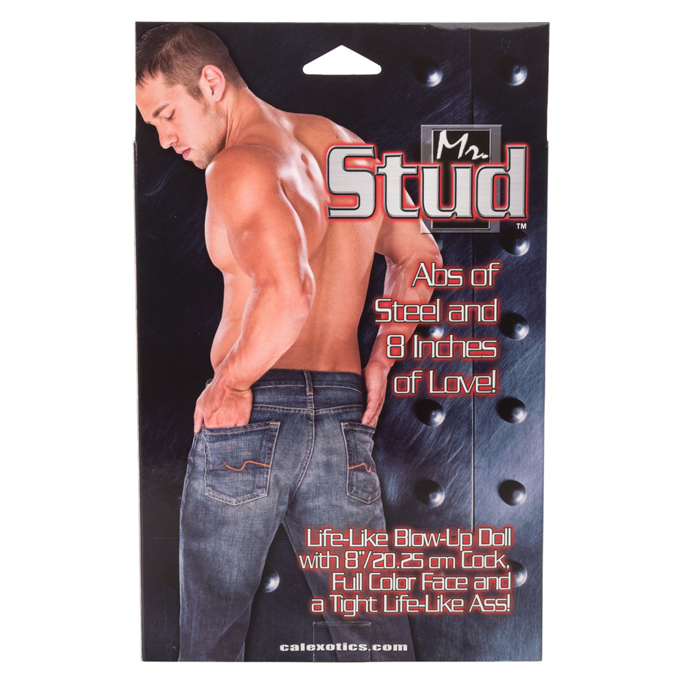 Mr. Stud Ivory