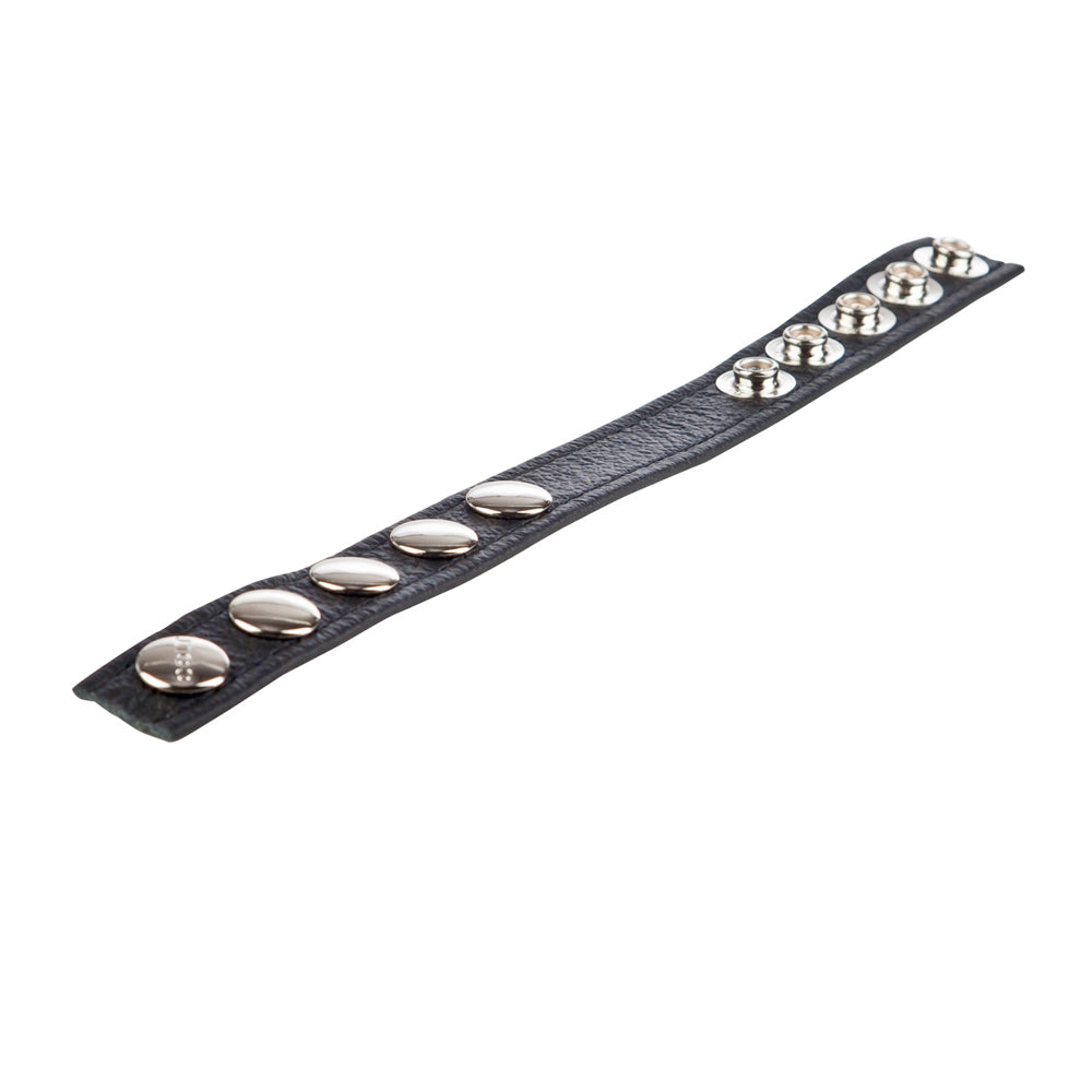 Colt Leather C/B Strap 5-Snap Fastener Black