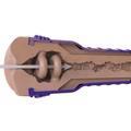 Fleshlight Boost Blast Female LM Flesh