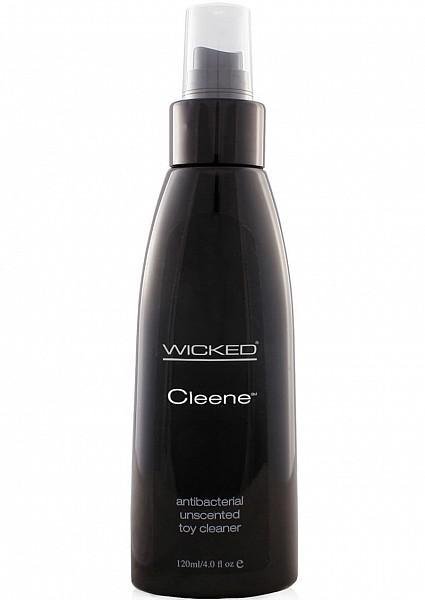 Wicked Toy Cleaner 4 oz. - Temptations