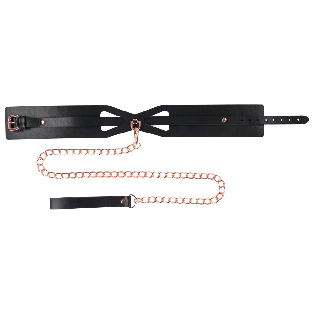 S&M Brat Collar & Leash