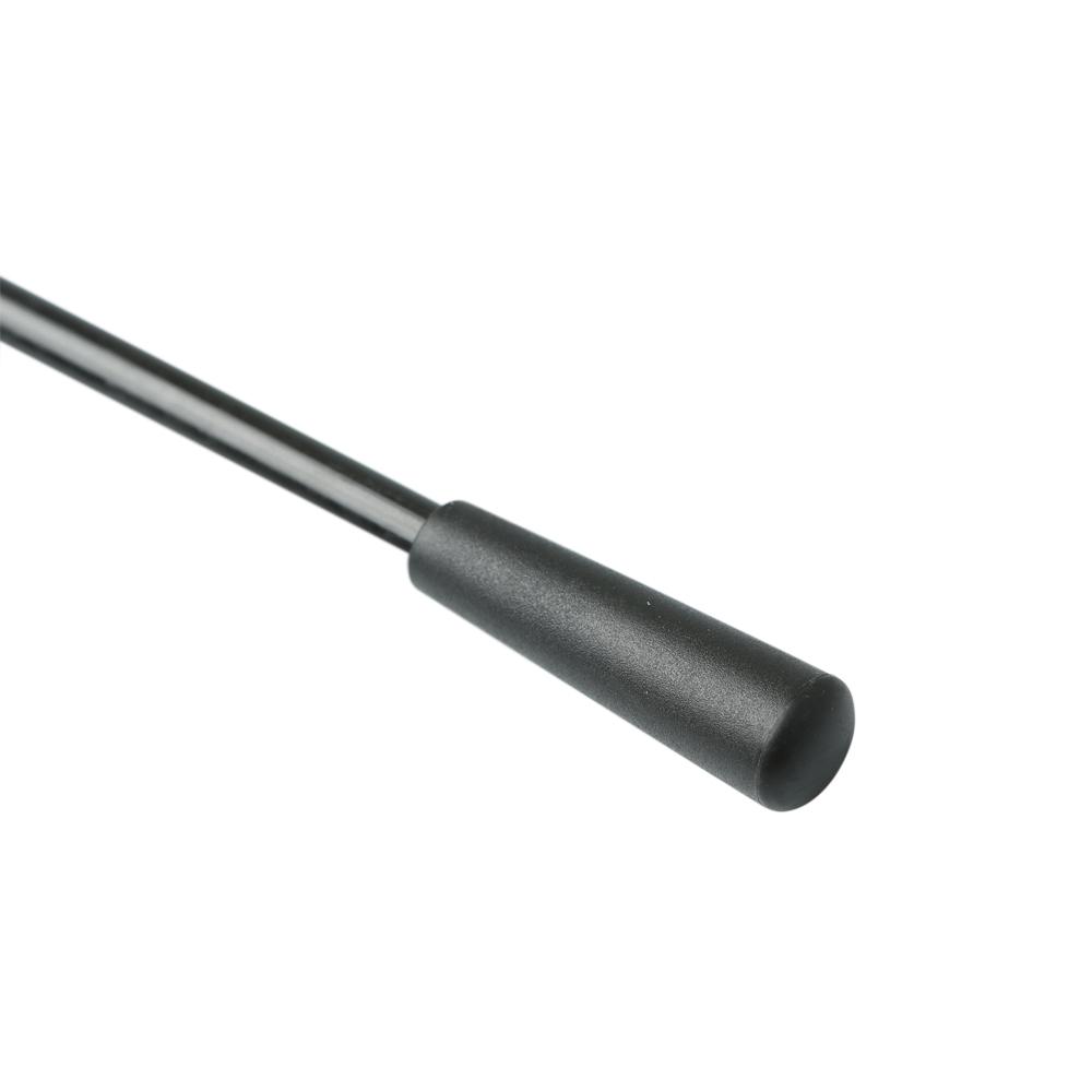 S&M Riding Crop