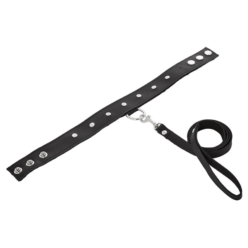 Leather Collar & Leash Set