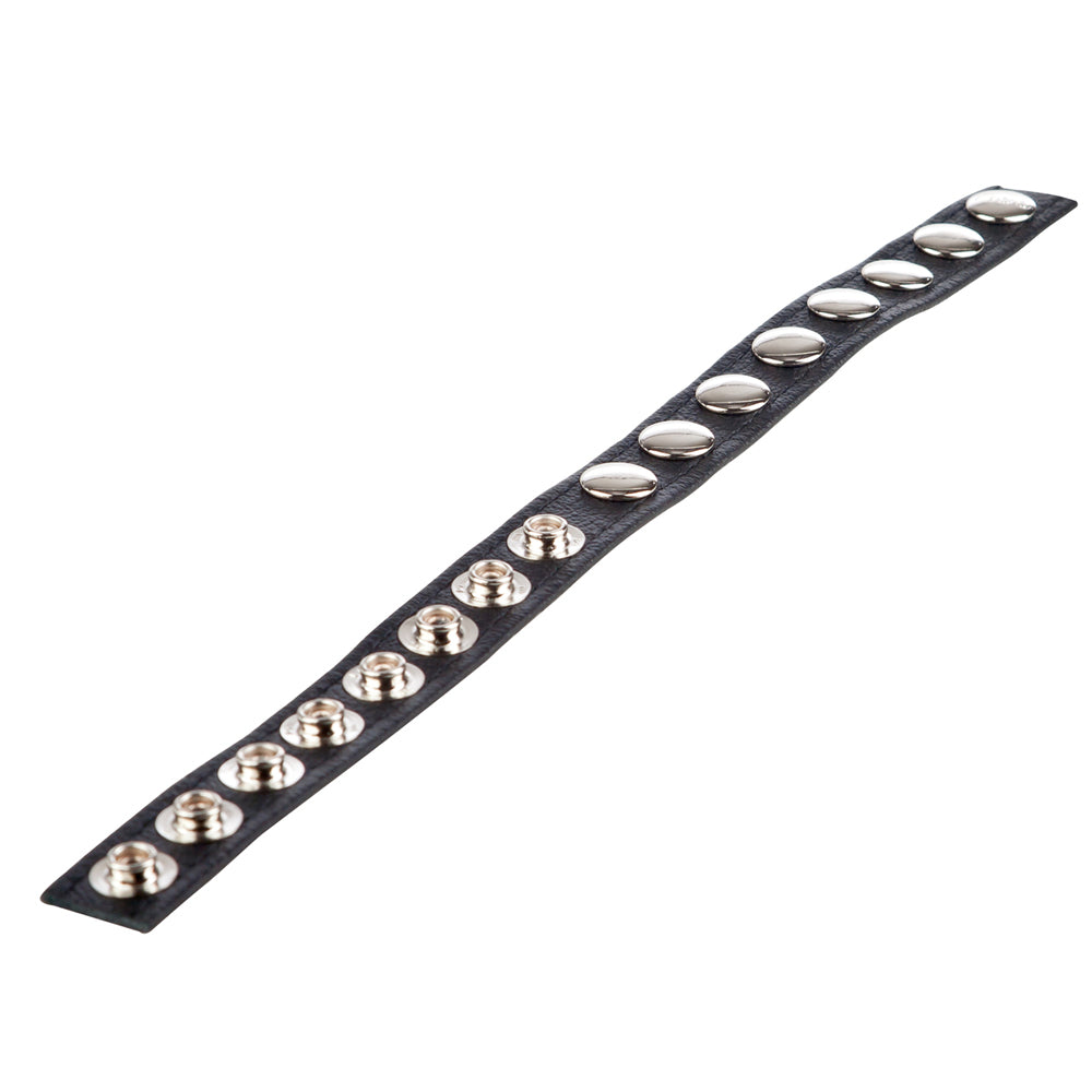 Colt Leather C/B Strap 8 Snap Fastener Black
