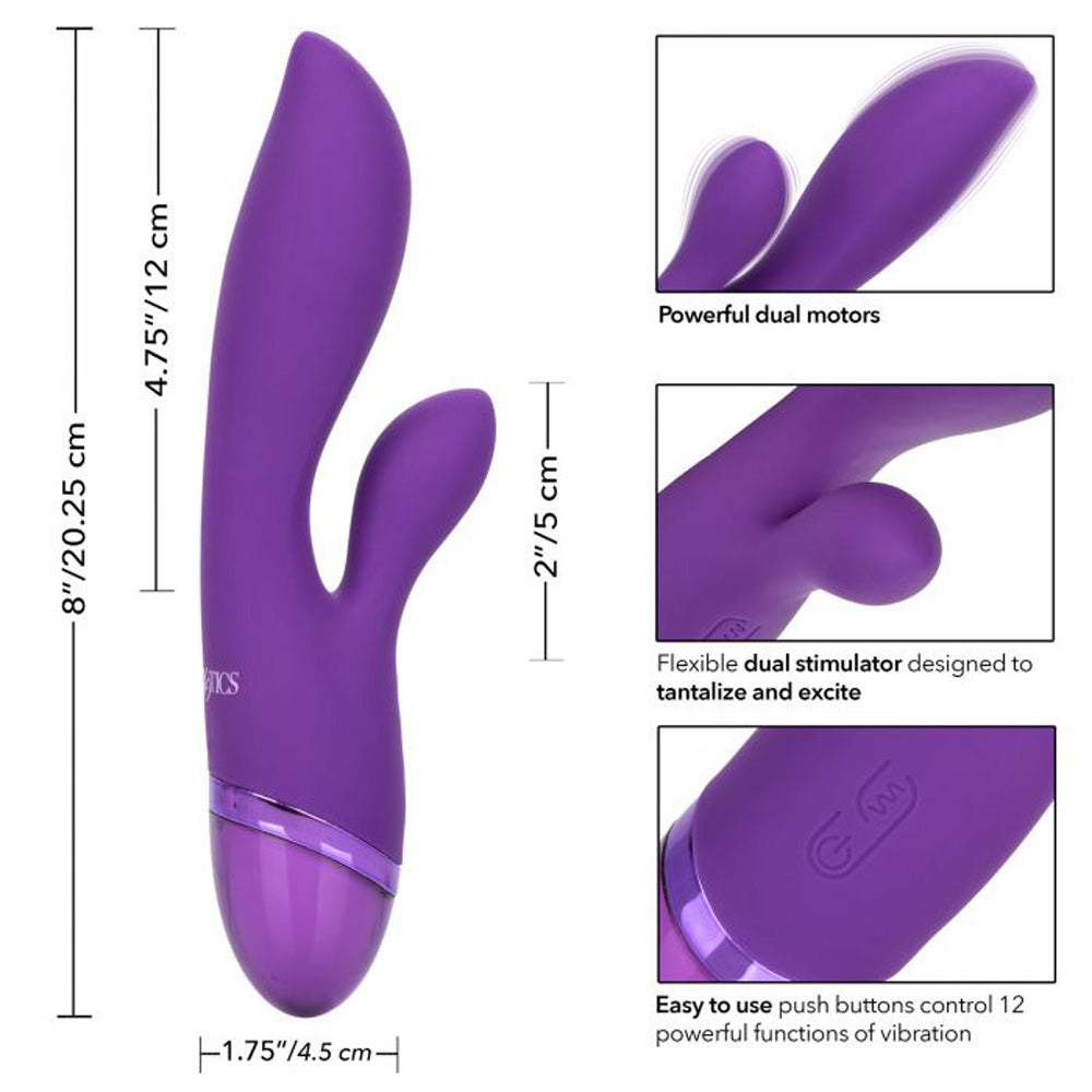 Aura Dual Lover