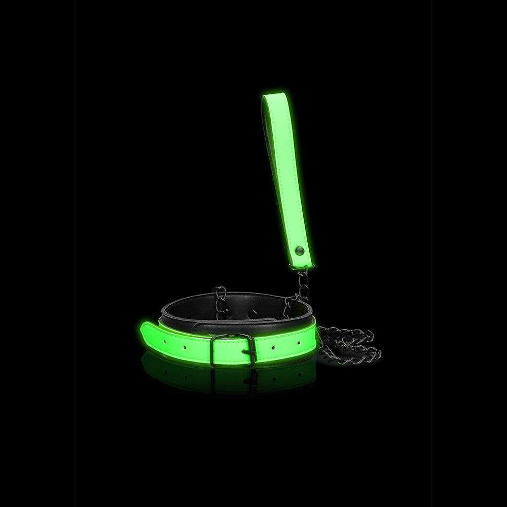 Ouch! Collar And Leash Glow In The Dark