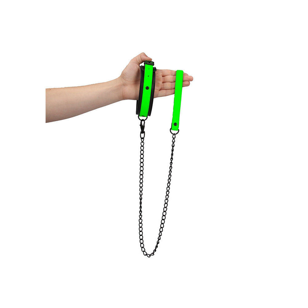 Ouch! Collar And Leash Glow In The Dark