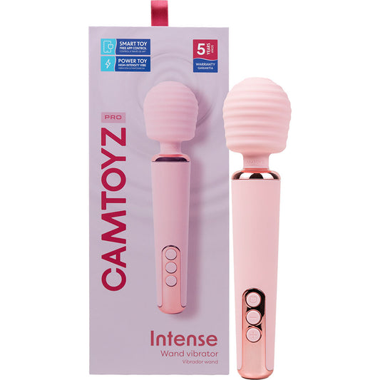 Camtoyz Intense Wand Vibrator