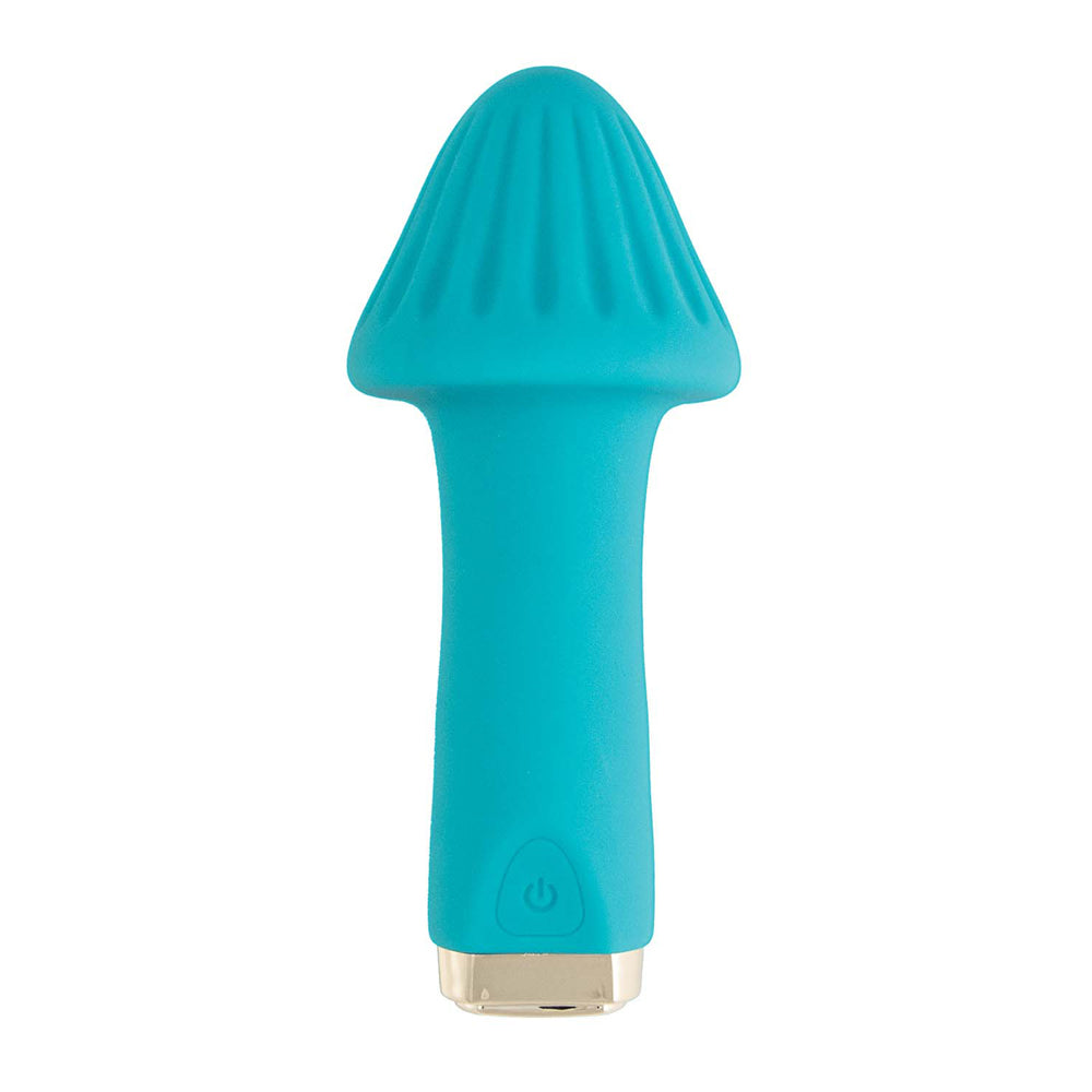 My Secret Shroom Aqua