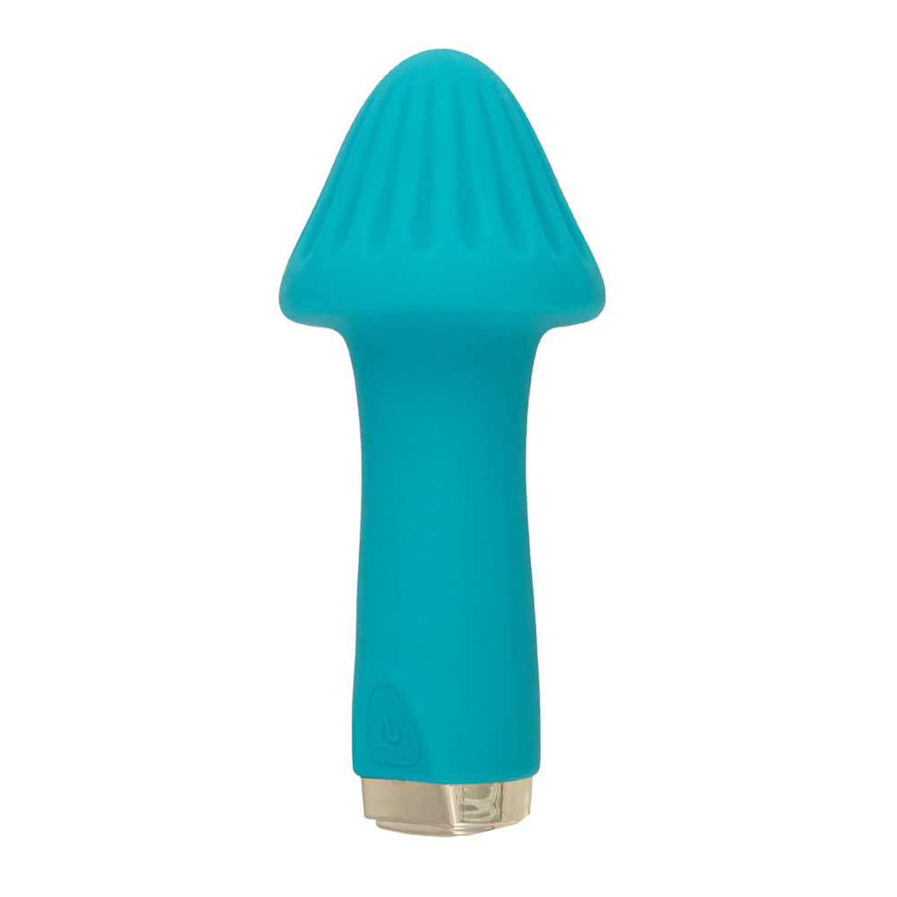 My Secret Shroom Aqua