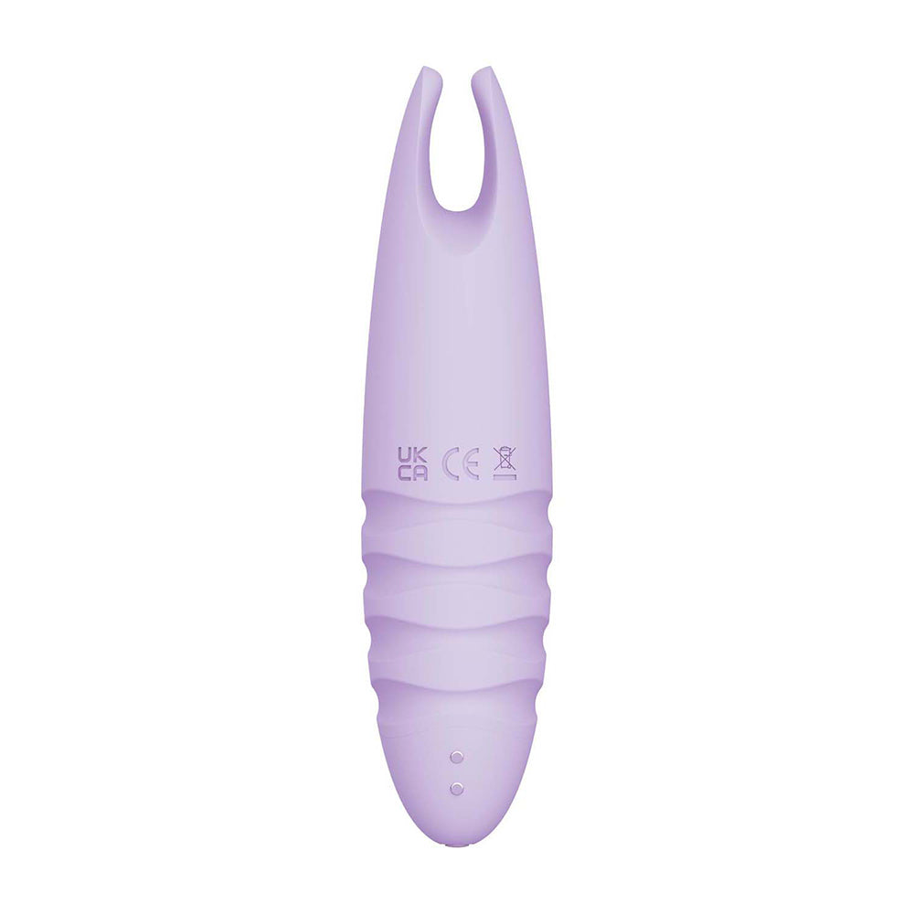 Sorbet Purple Passion