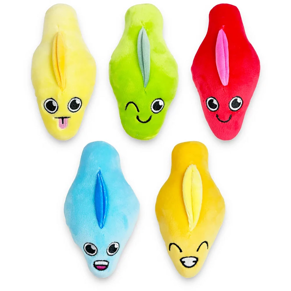 Bag Of Cunts Plushy Pillows