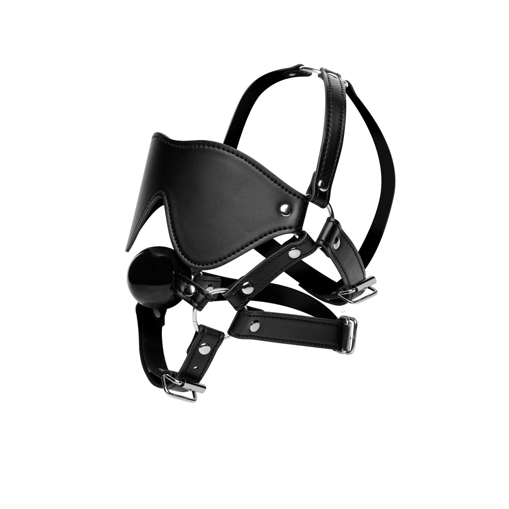Strict Eye Mask Harness With Ball Gag