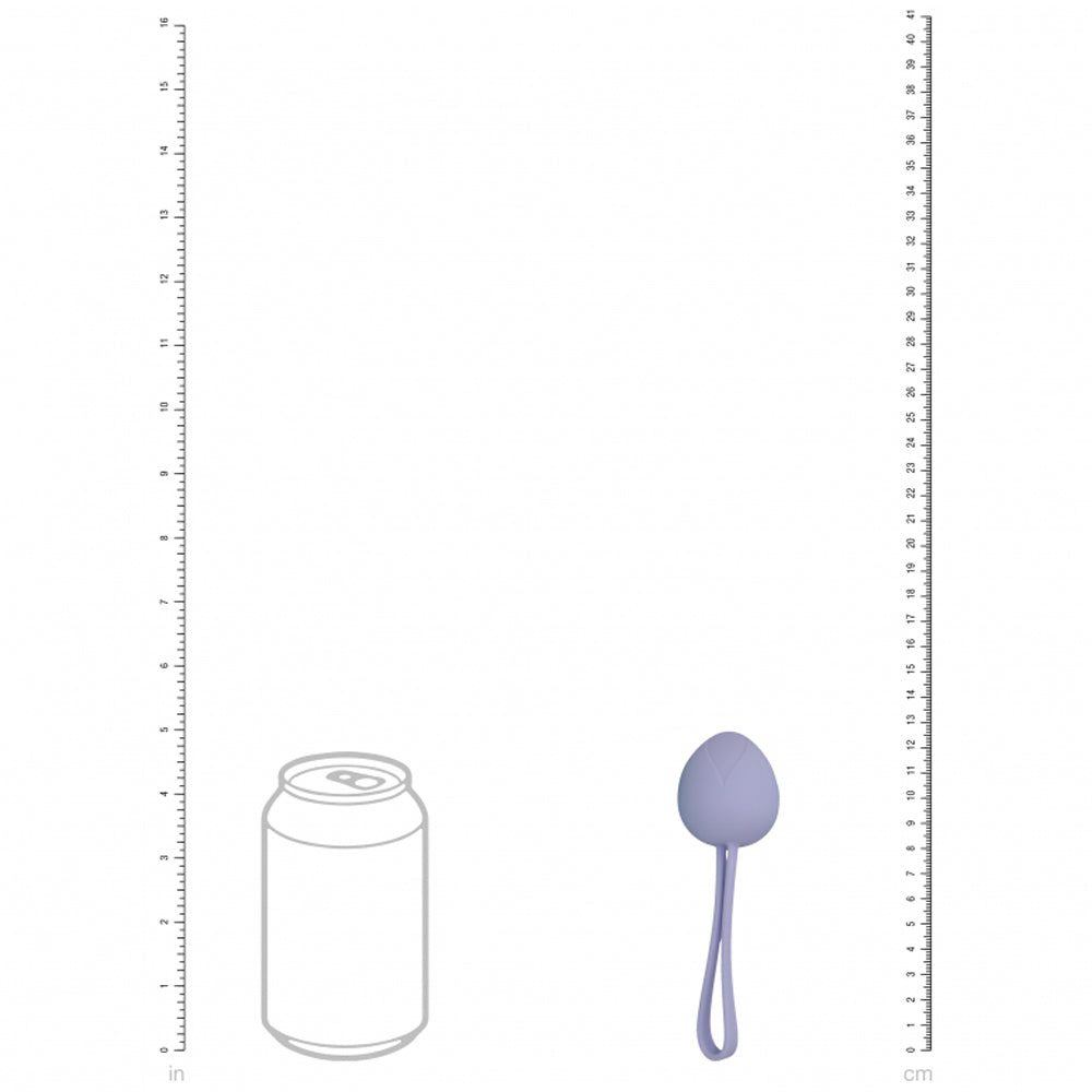 Loveline Pelvifit Berry Kegel Kit Multiweight Multicolor