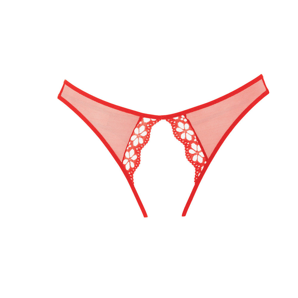 Adore Mirabelle Plum Panty One Size Red