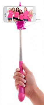 Bachelorette Party Favors Dicky Selfie Stick - Temptations