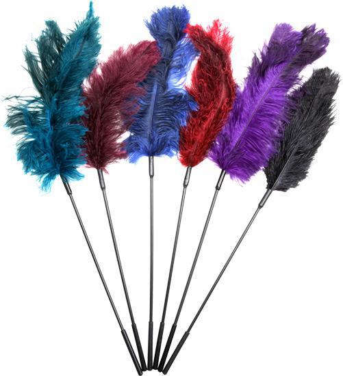 Ostrich Tickler (Black) - Temptations