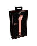 Royal Gems Jewel Rechargeable Abs Bullet - Temptations