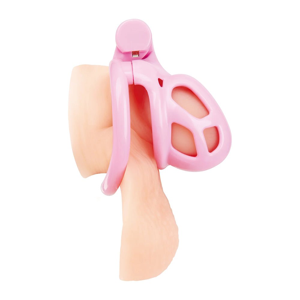 Small Pink Humiliation Acrylic Prisoner Cock Cage